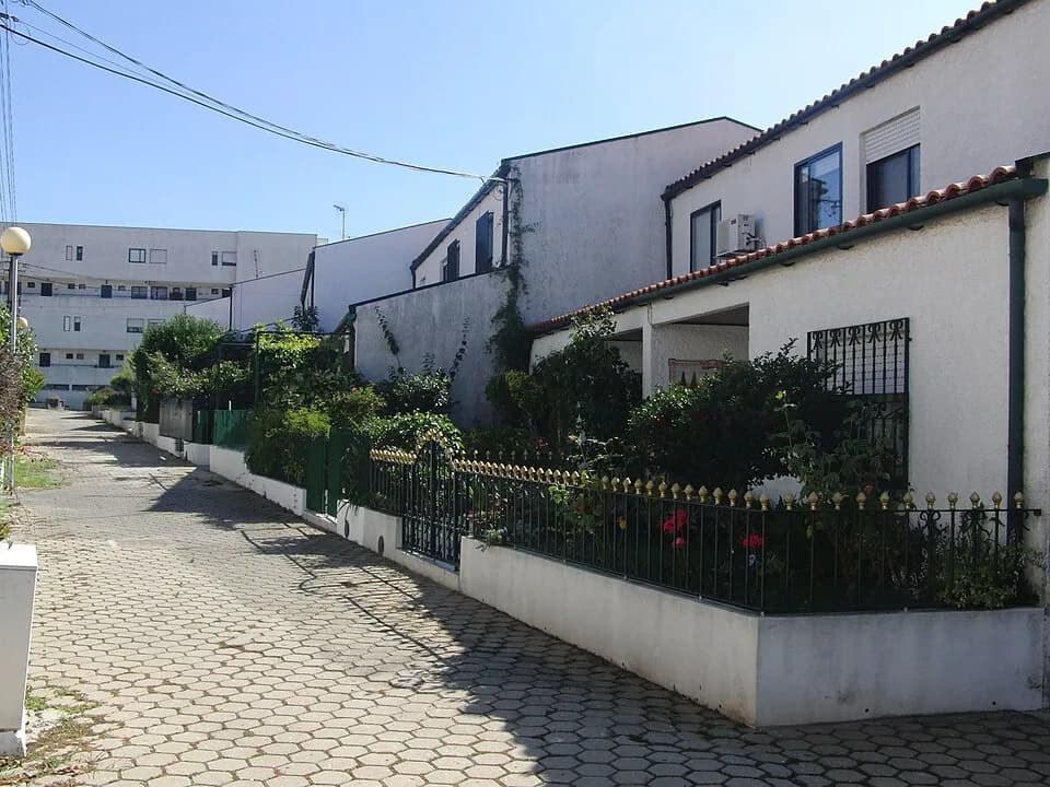 Nogueira da Regedoura
