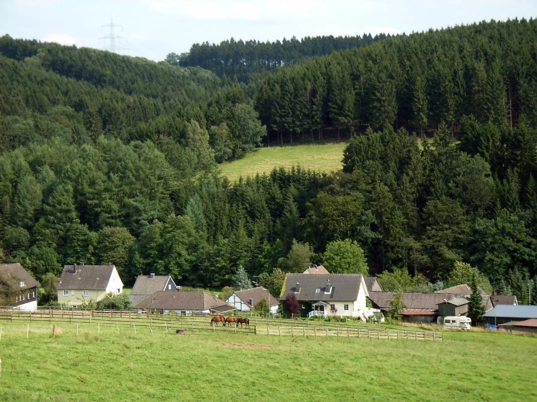 Nochen