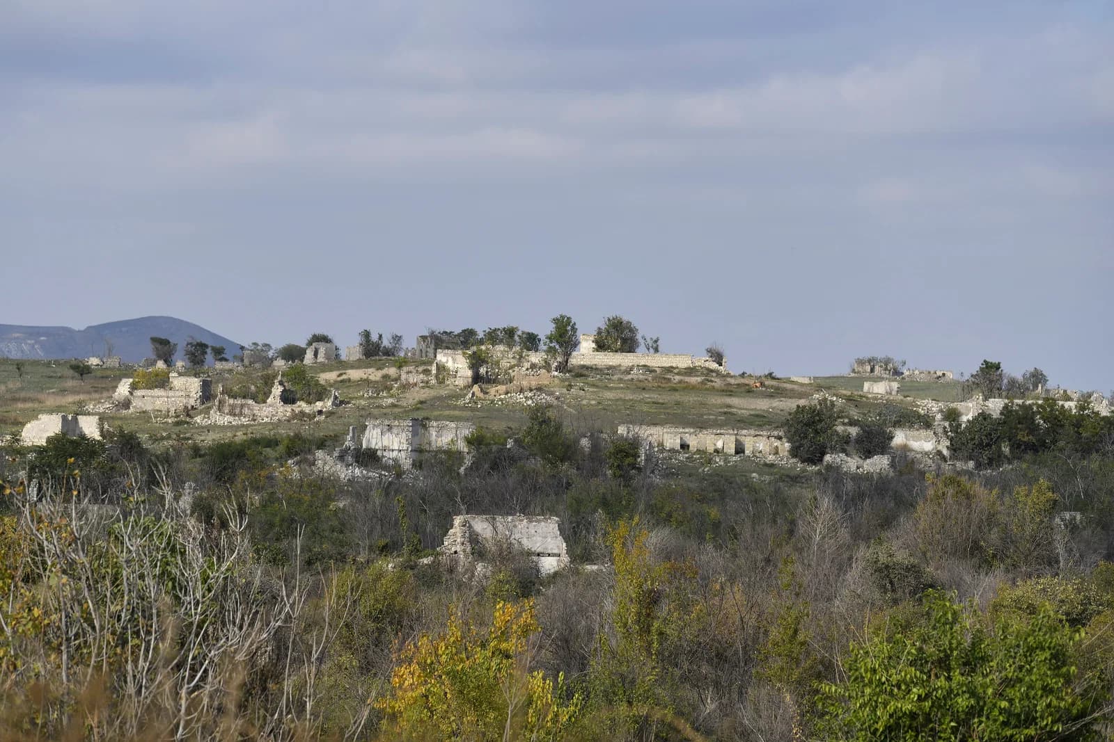 Fuzuli