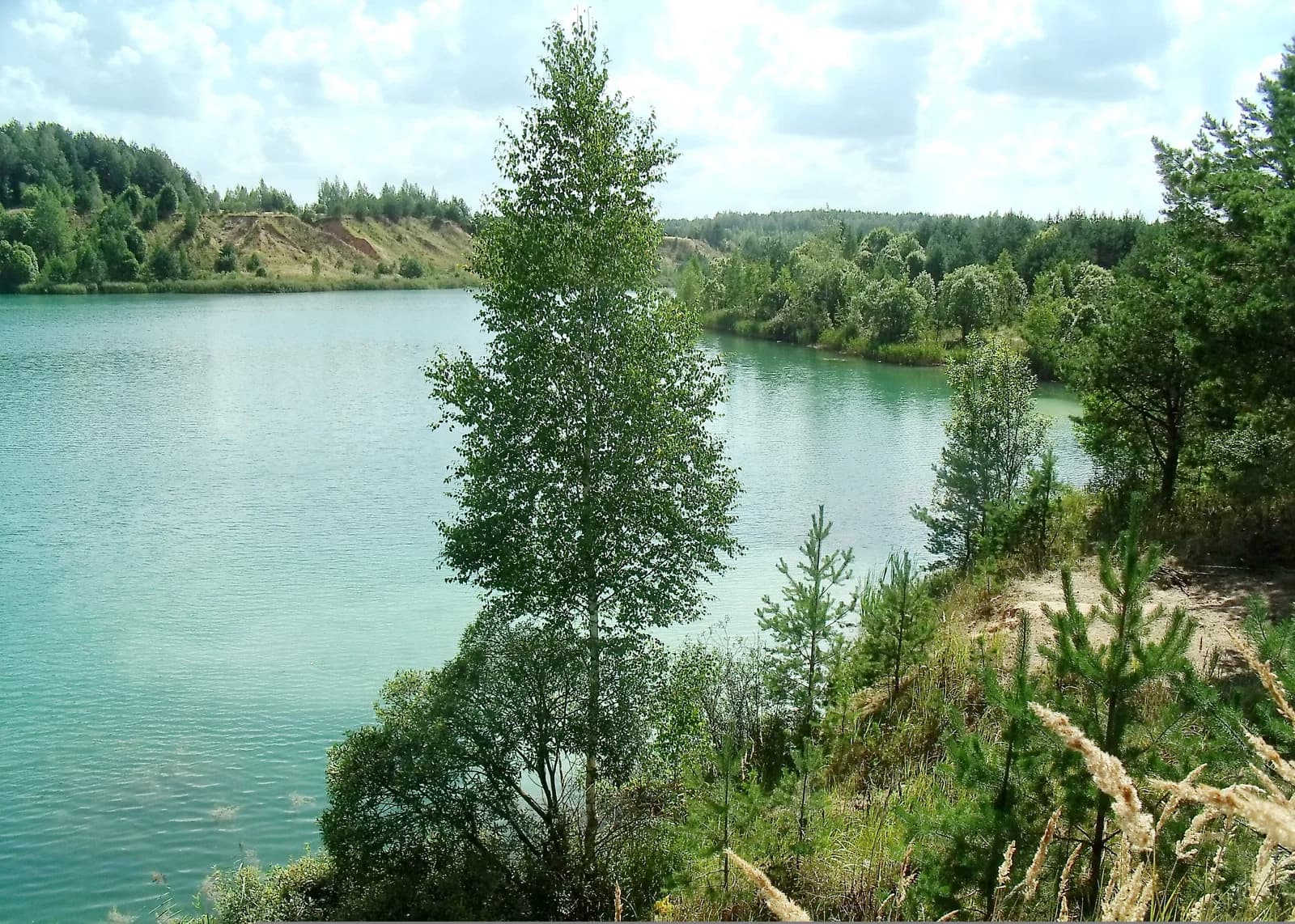 Klimavichy district