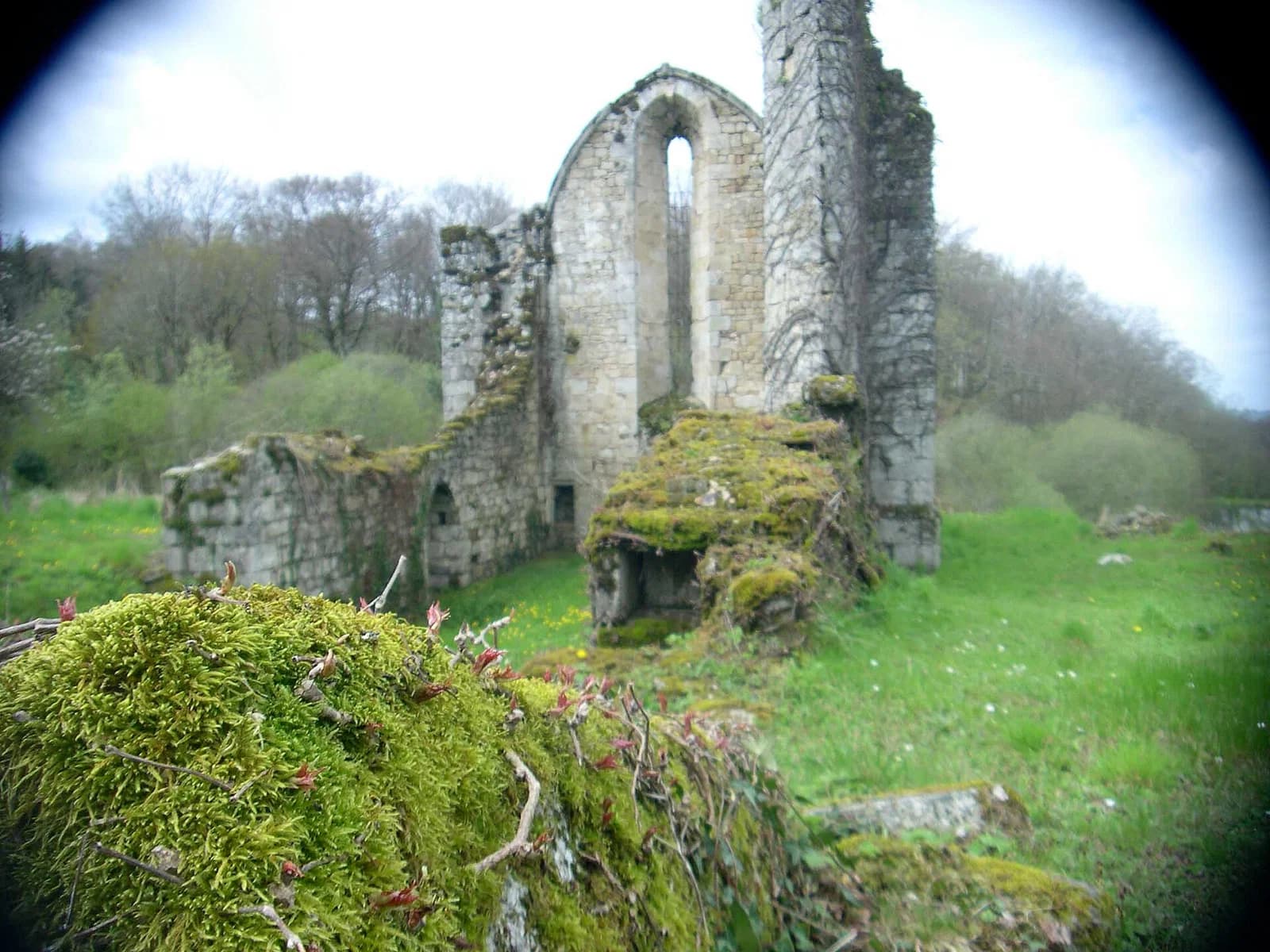 Saint-Moreil