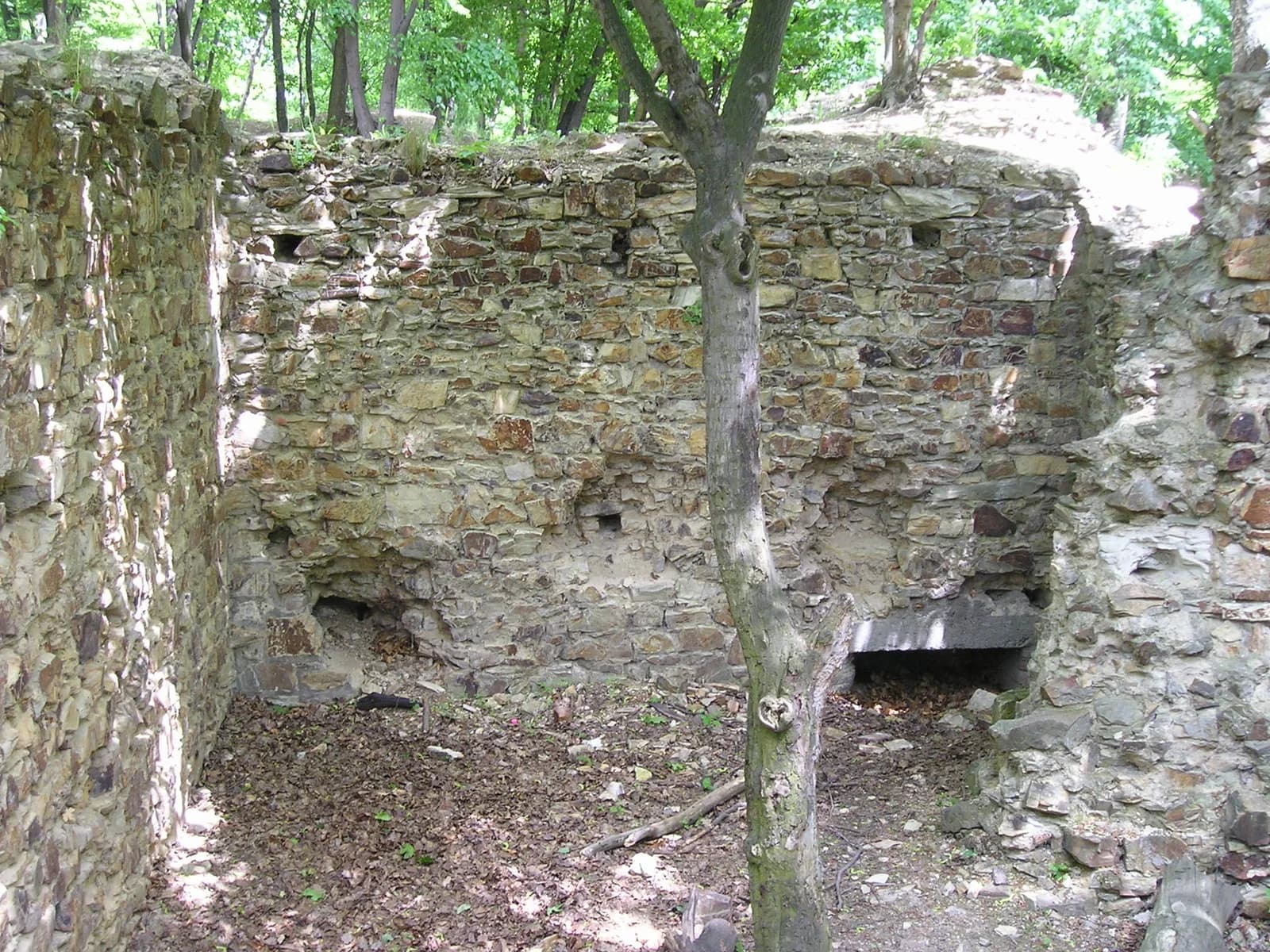 Nový hrad u Kunratic