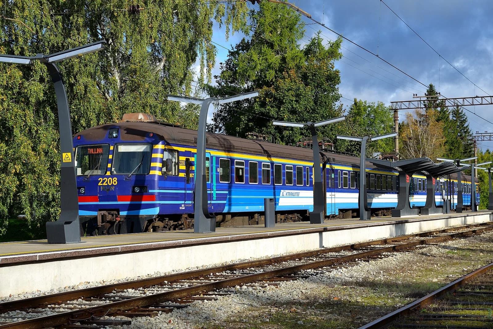 Riisipere