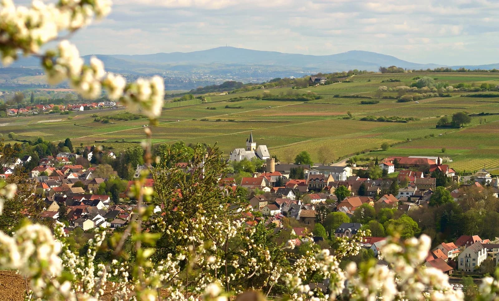Ober-Ingelheim