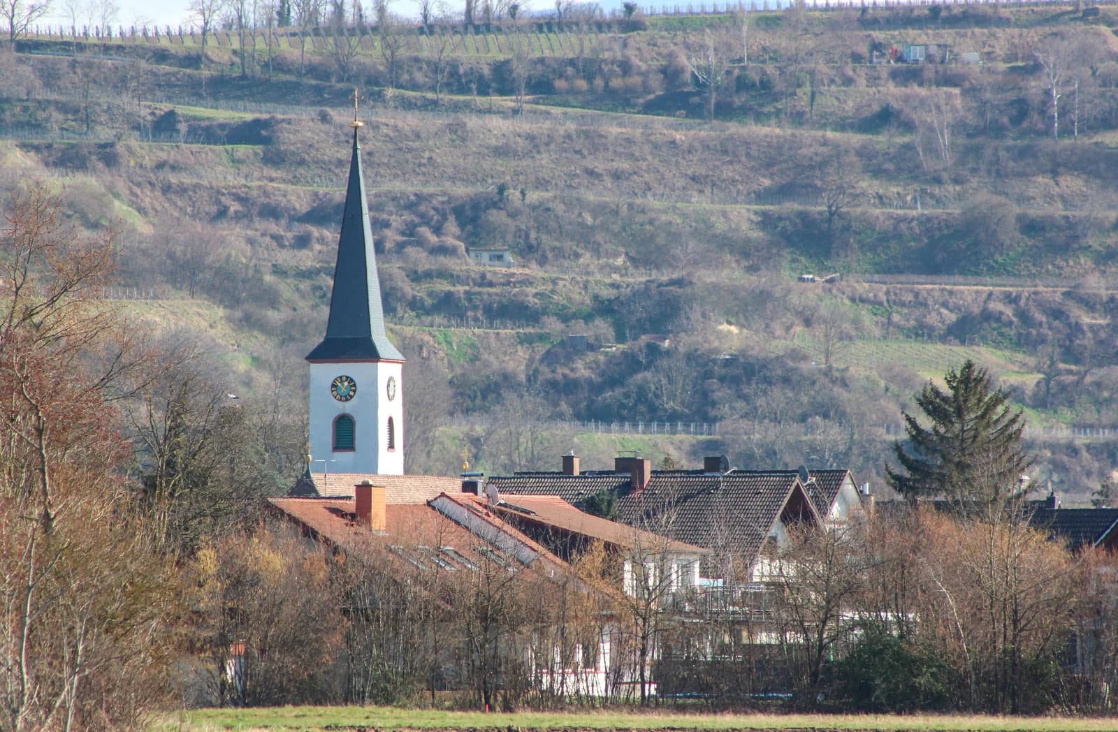 Oberrimsingen