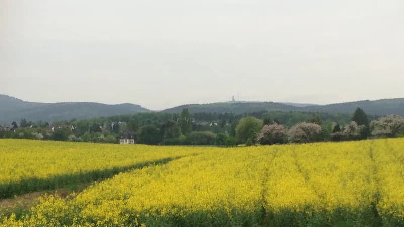 Oberstedten
