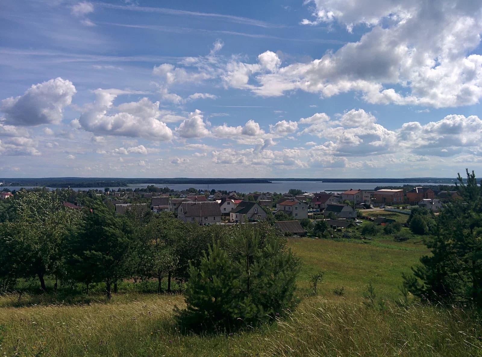 Miadzieł
