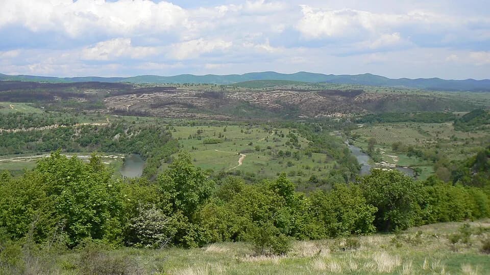 Pazardzhik