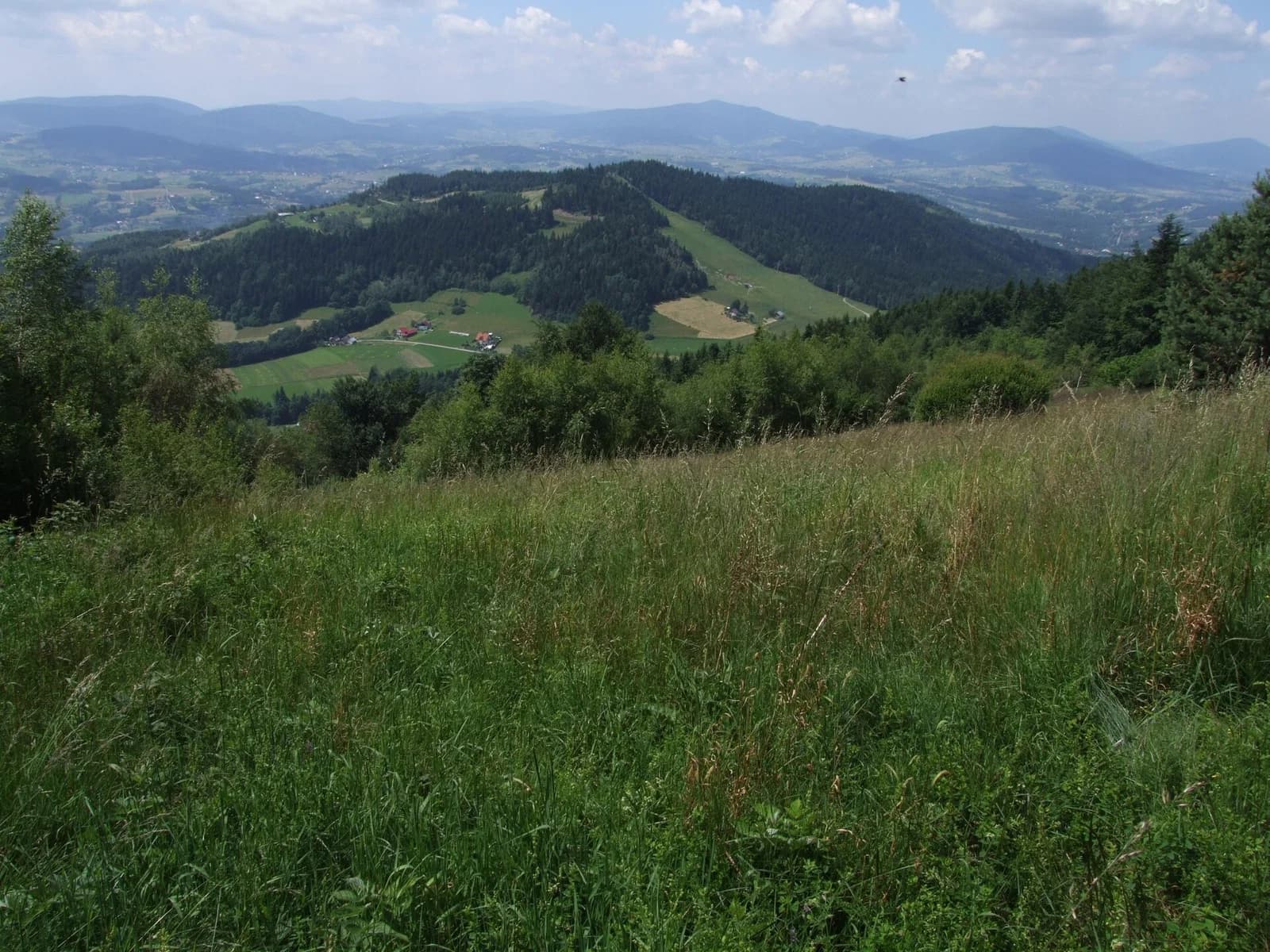 Mordarka