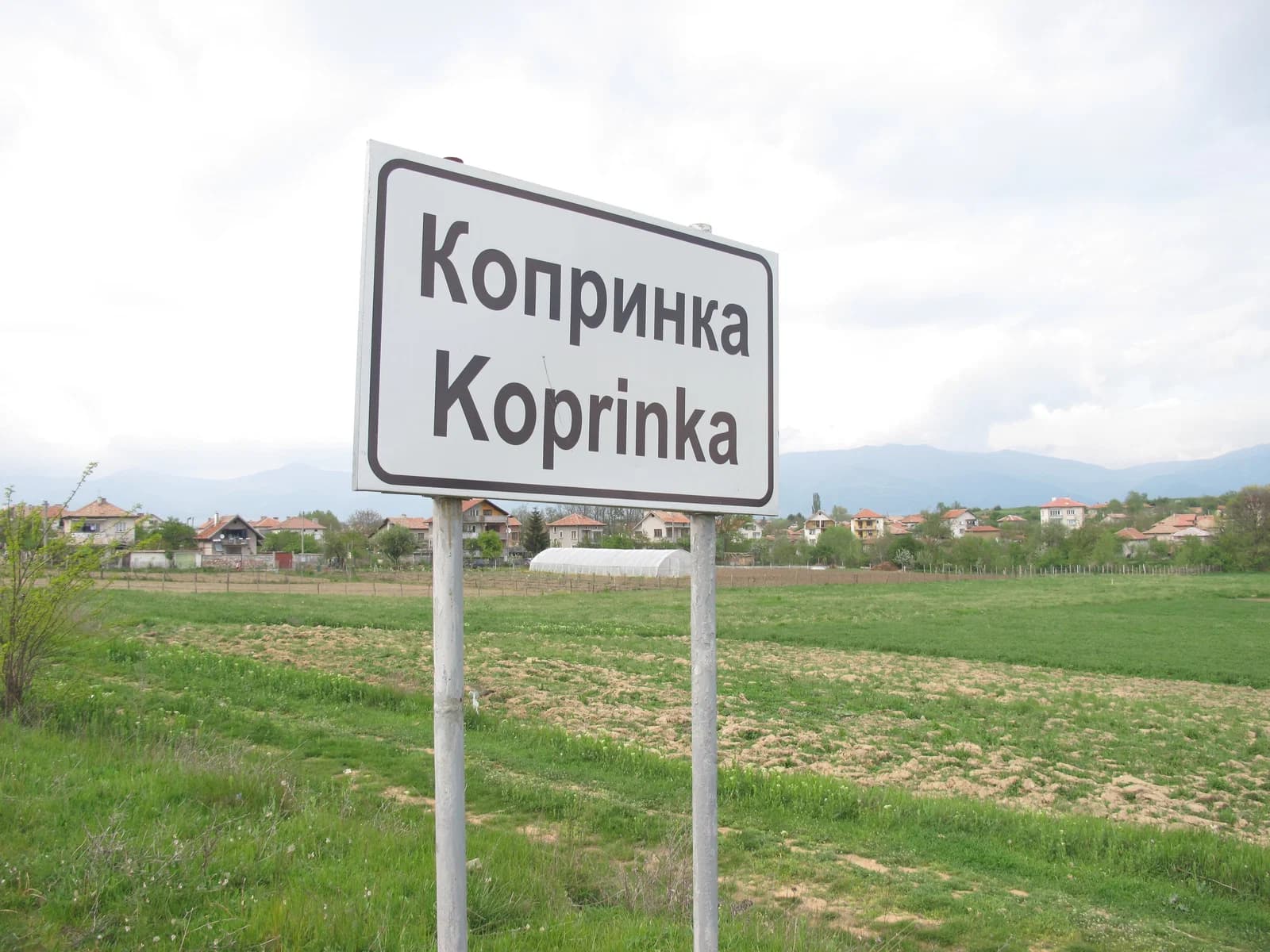 Koprinka