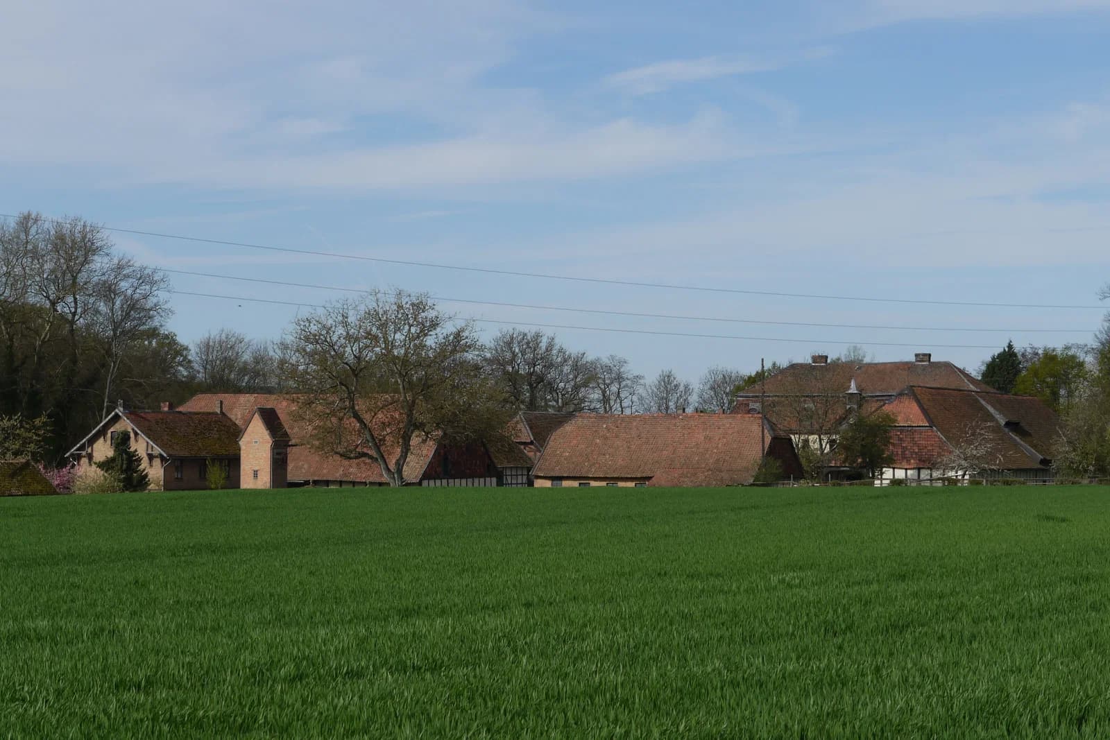 Ohlendorf