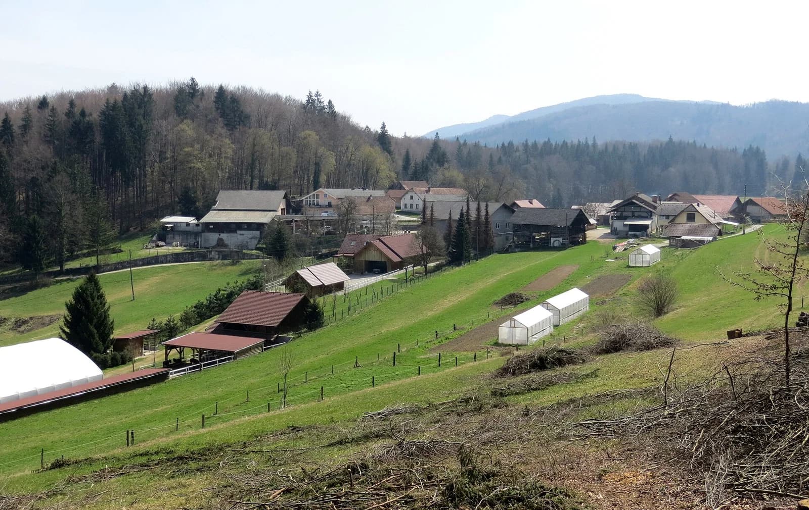 Cerovo