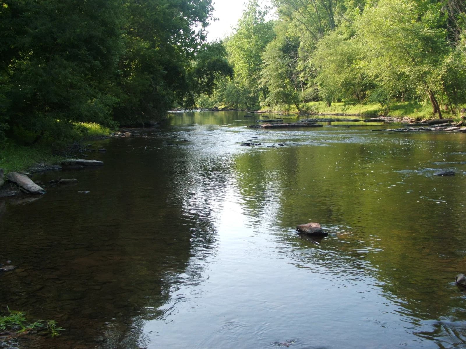 Bedminster Township