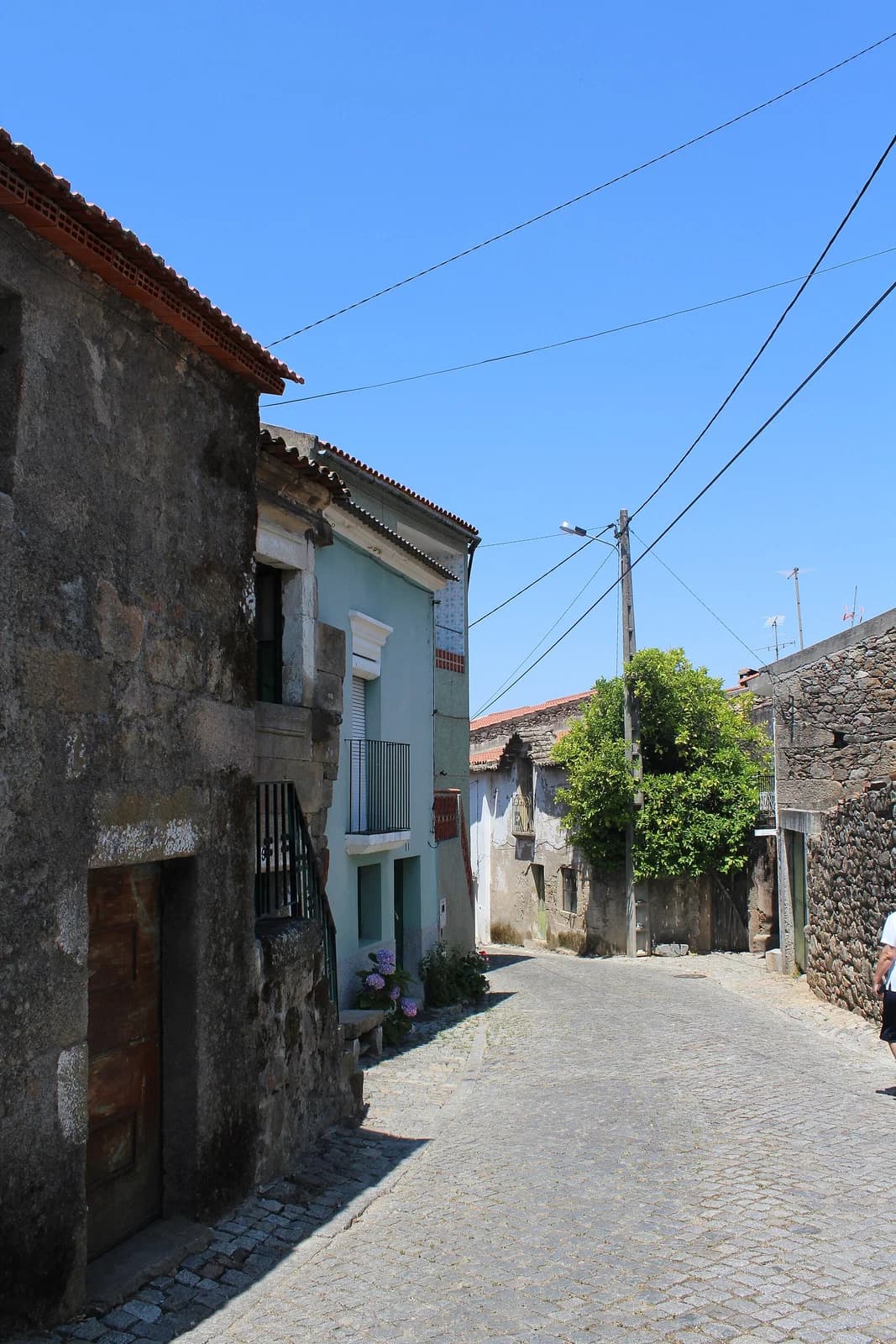 Oledo