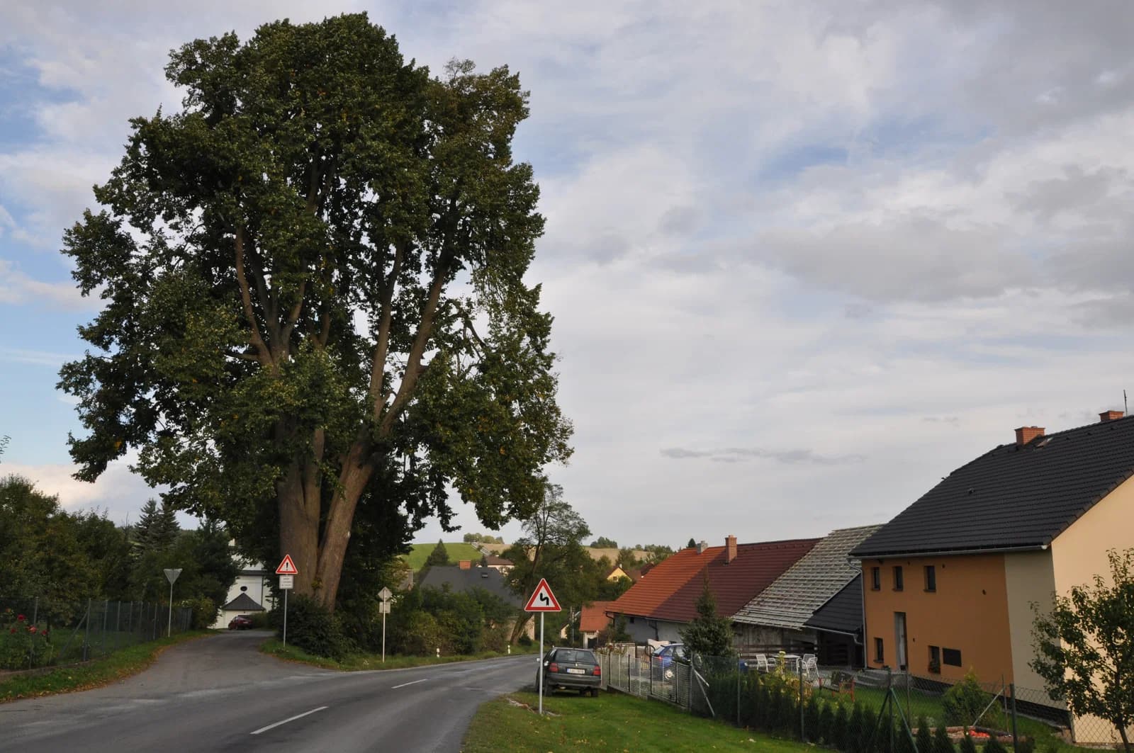 Olešná