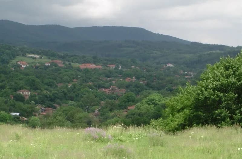 Svezhen