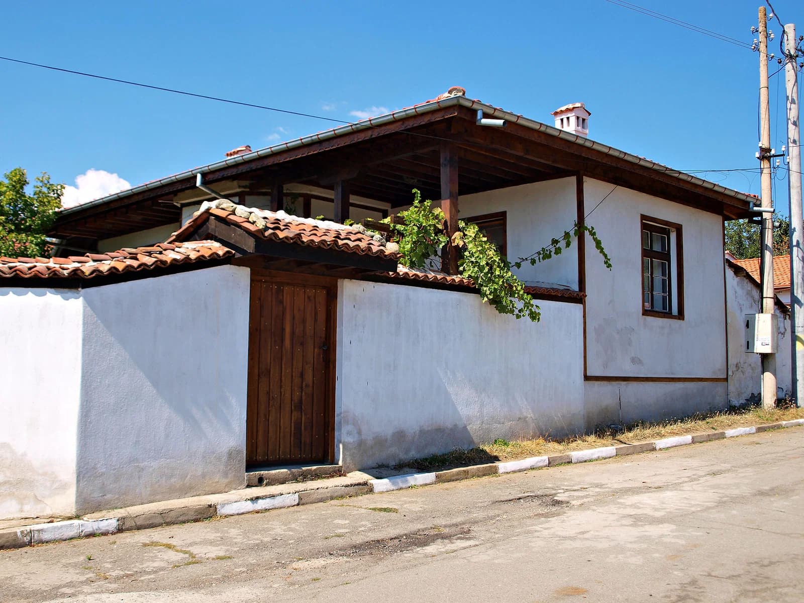 Tazha