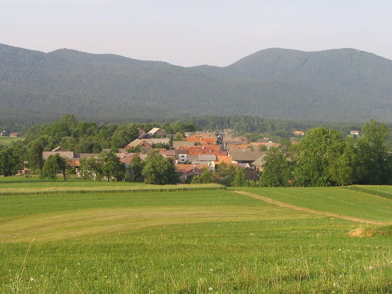 Sušje