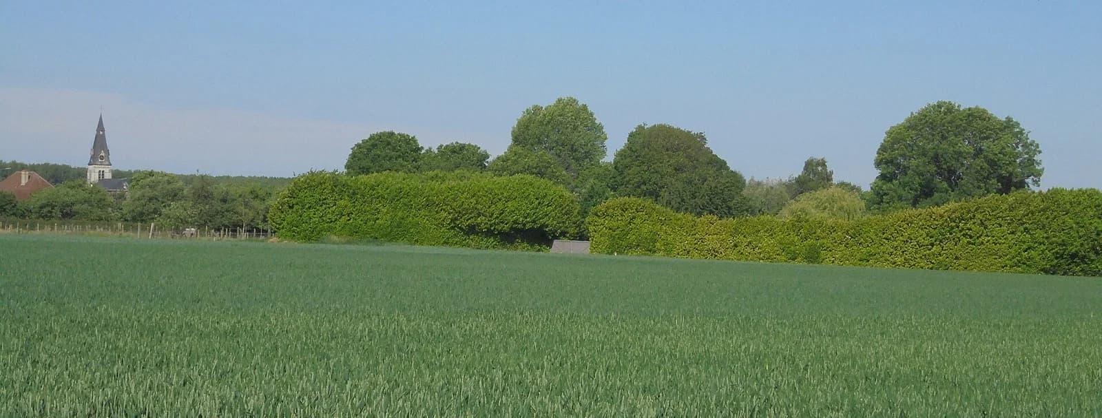 Vlierzele