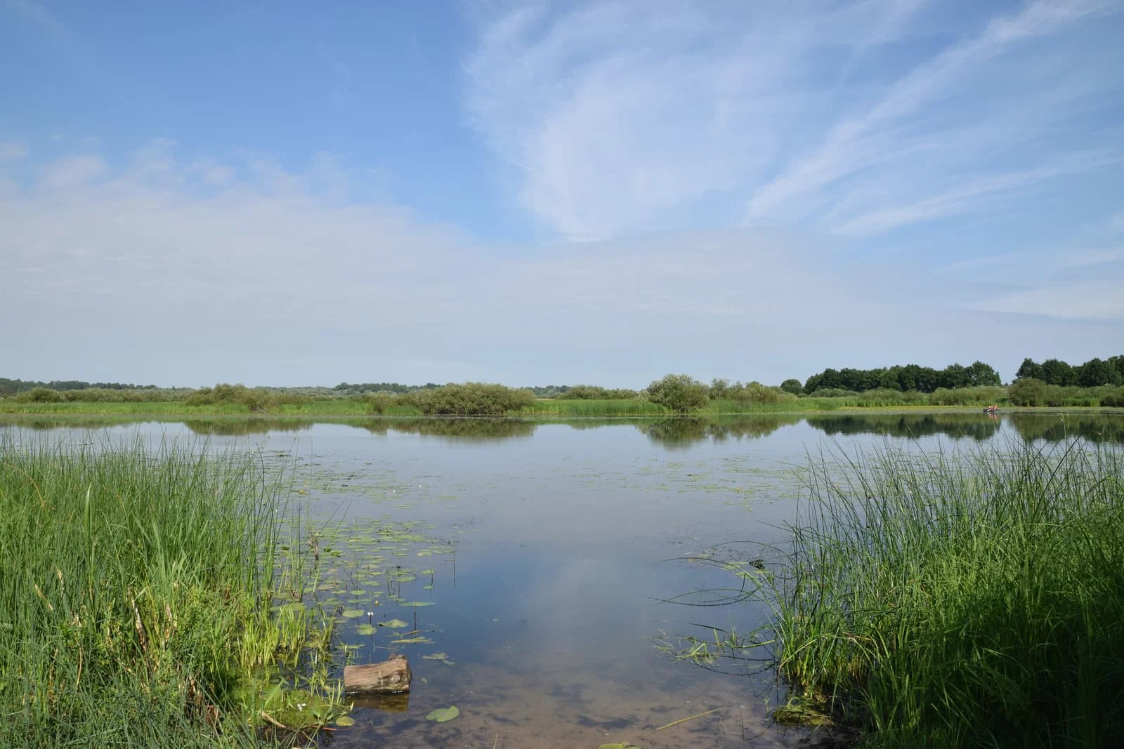Slaŭharad District