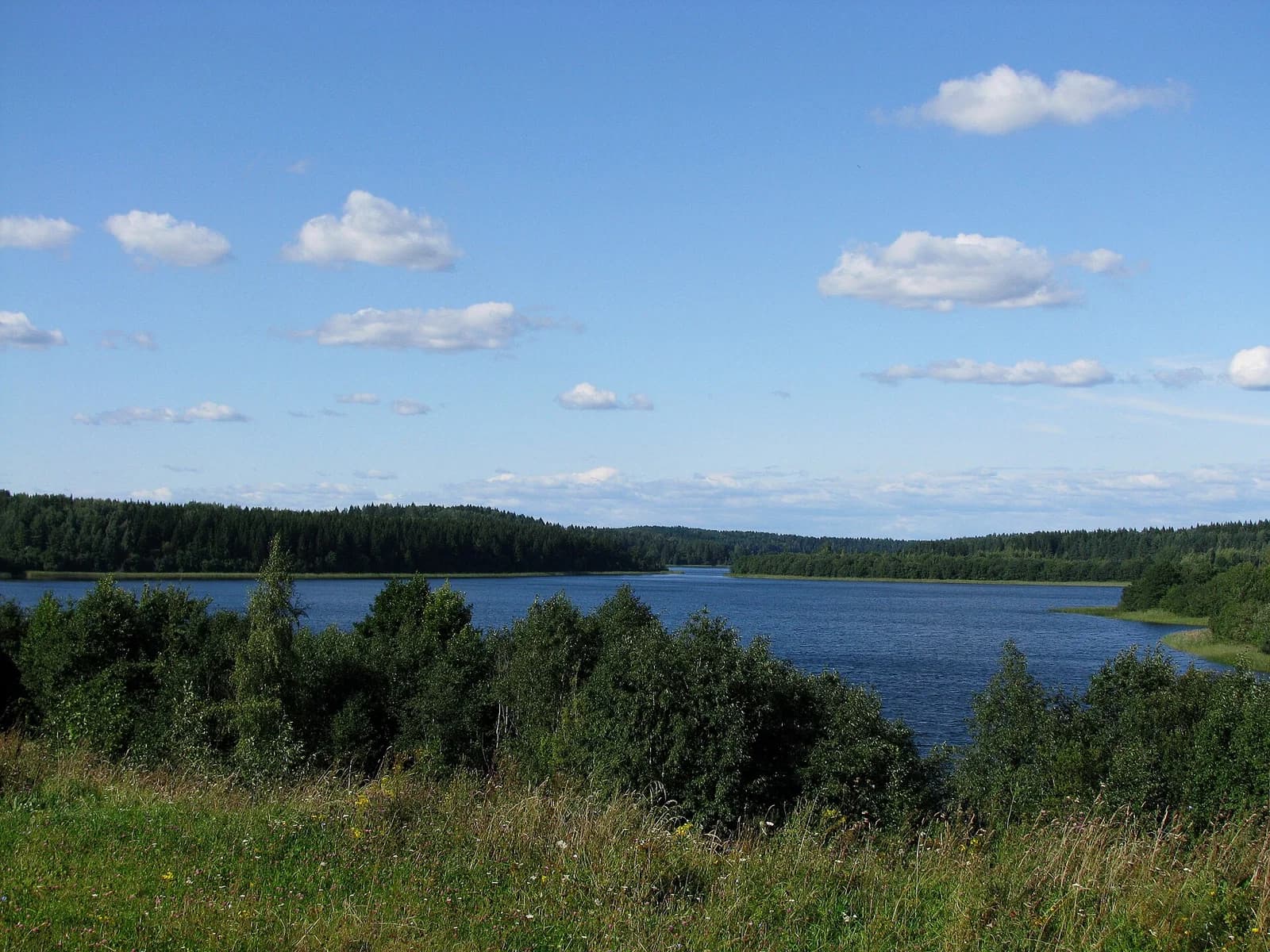 Ušačy District