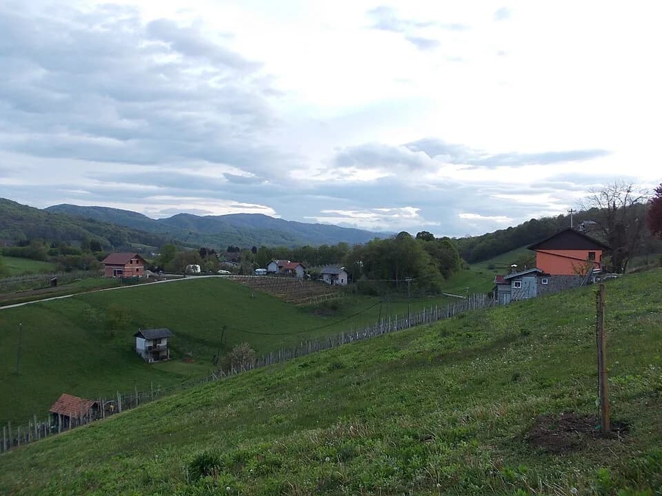 Žejno