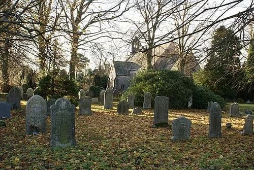 Hazelwood