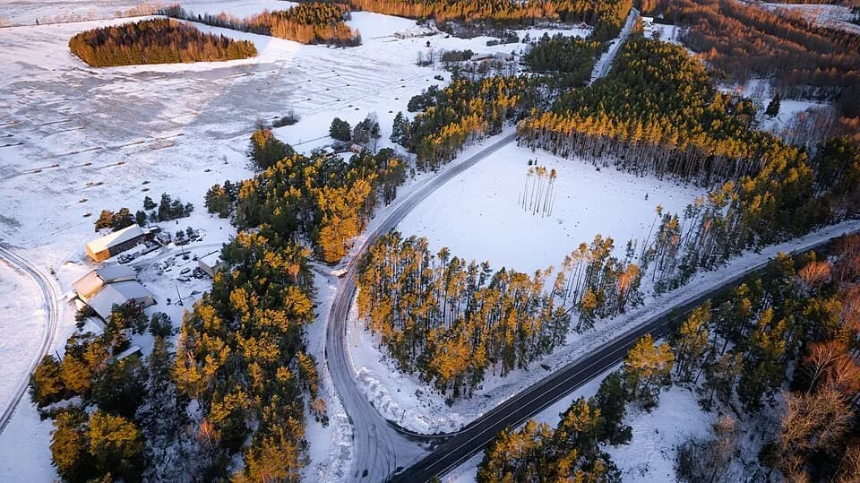 Ulja