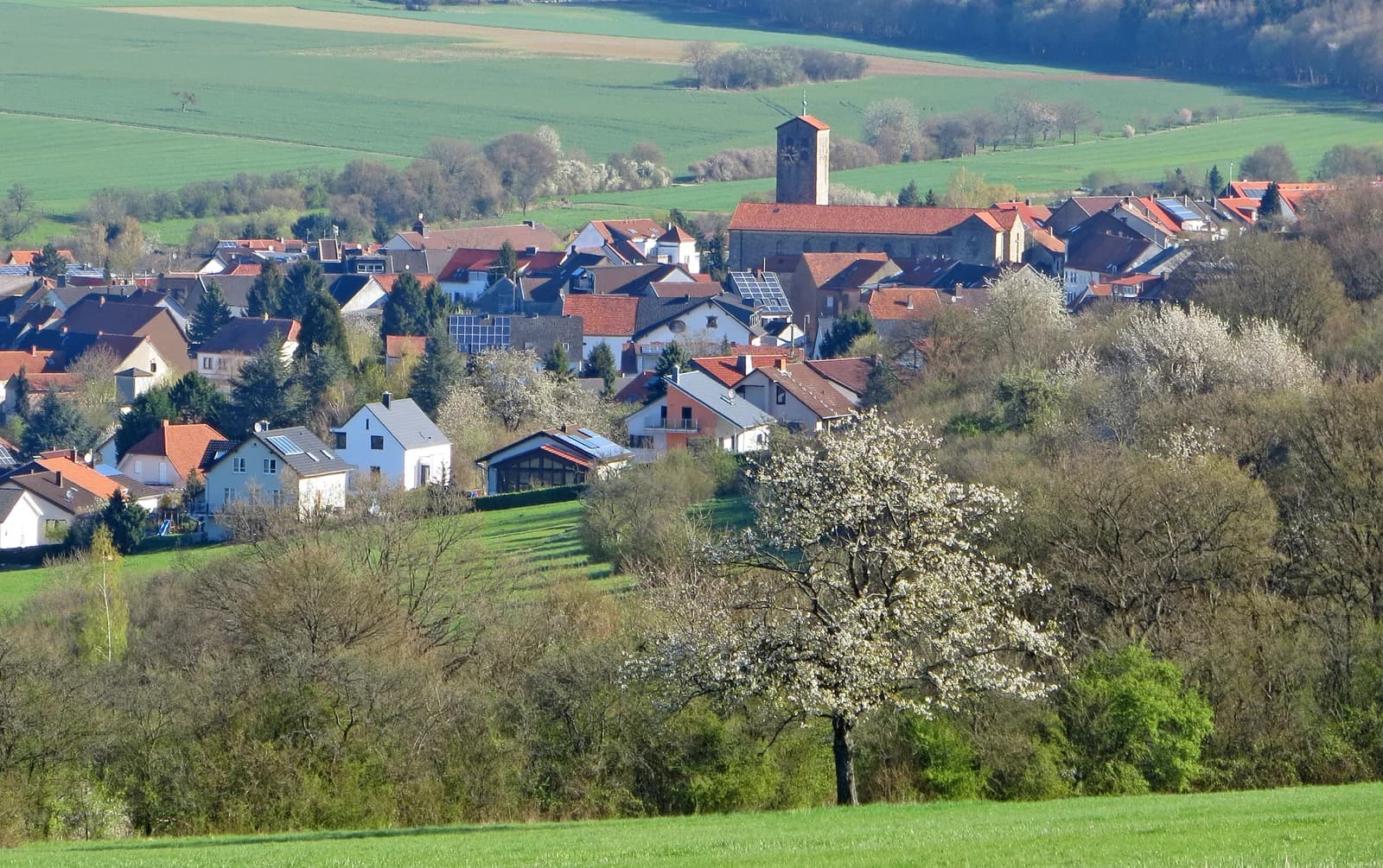 Ormesheim