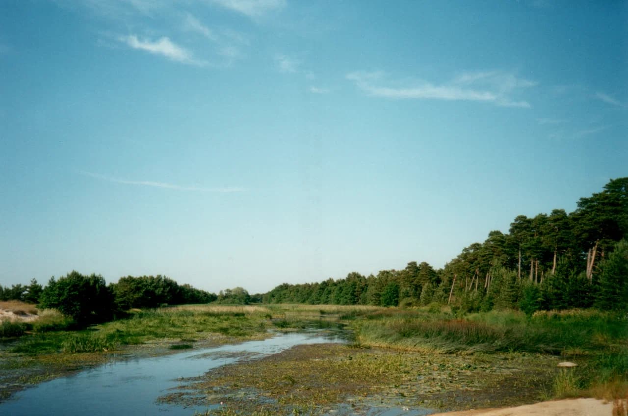 Vääna-Jõesuu