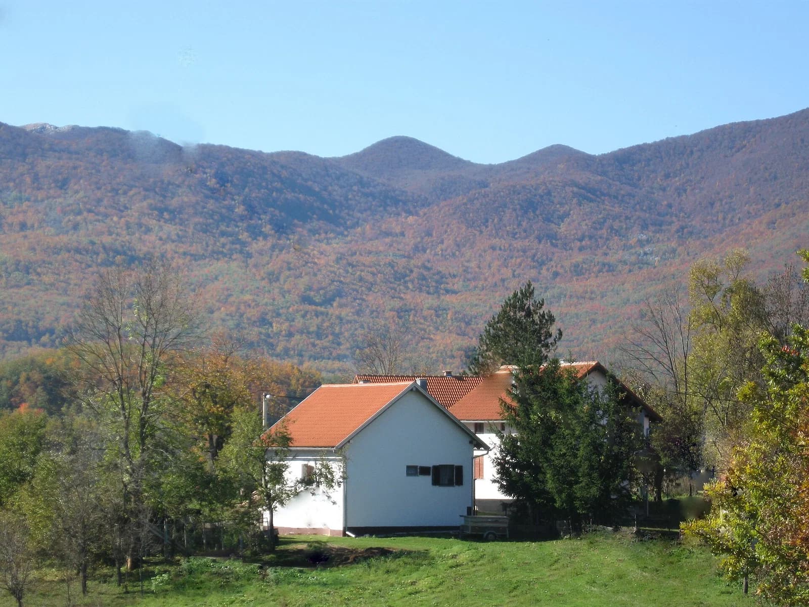 Sveti Rok