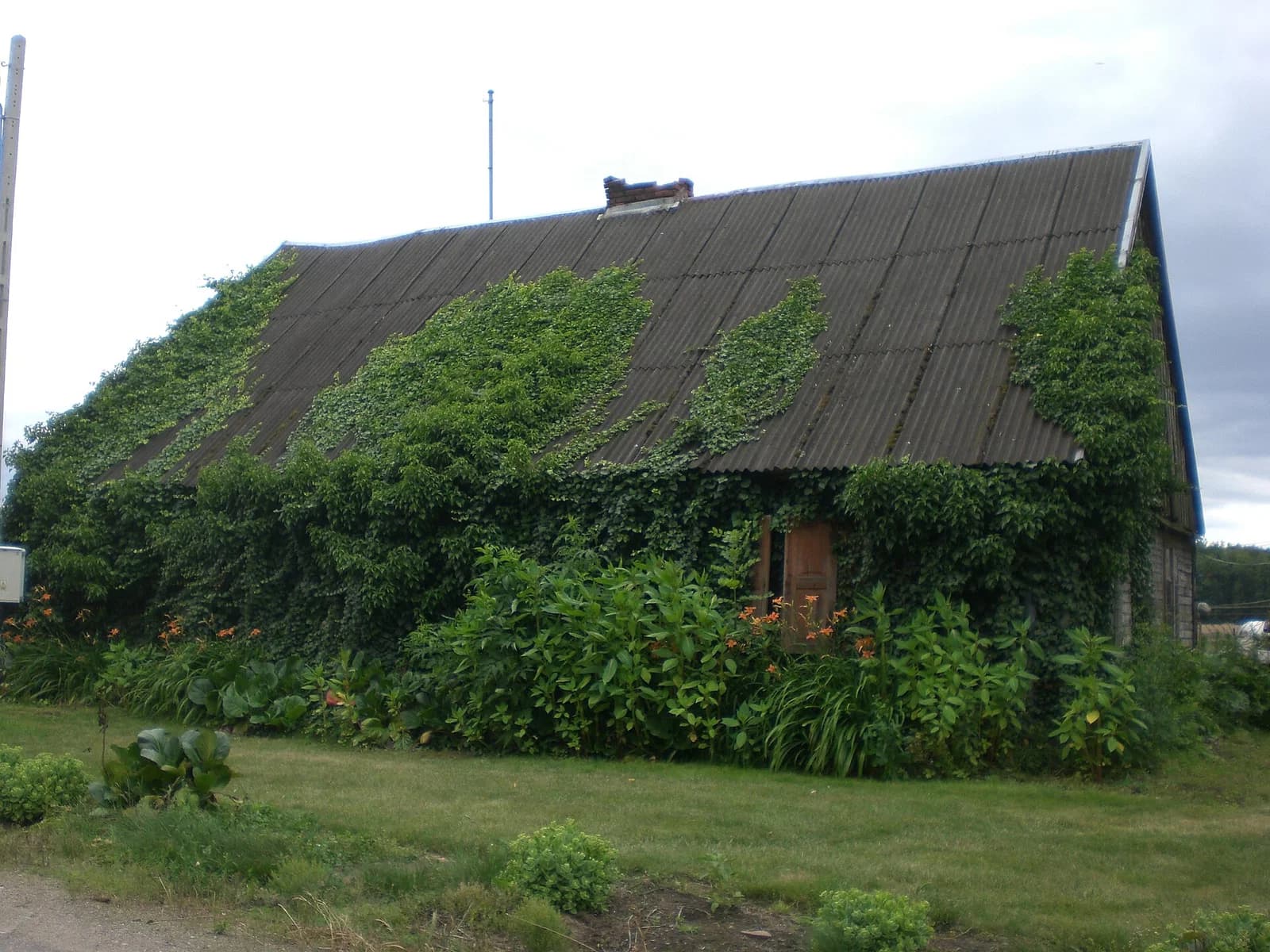 Stary Boguszyn