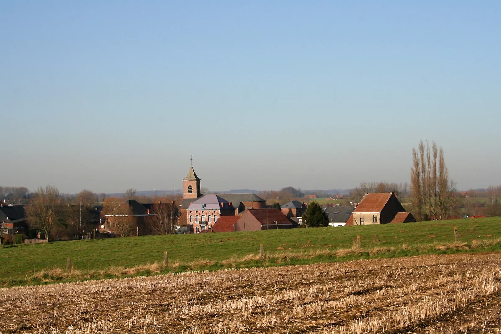 Ostiches