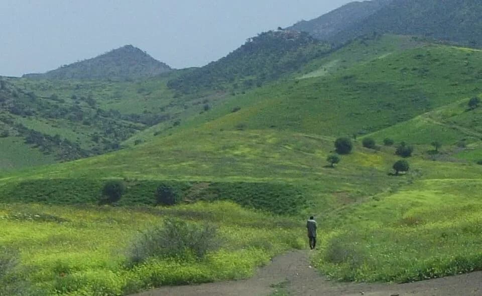 Lehri