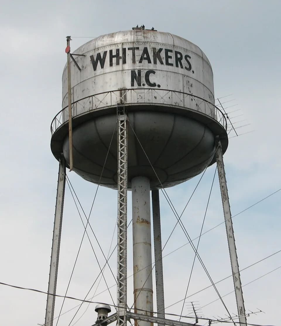 Whitakers