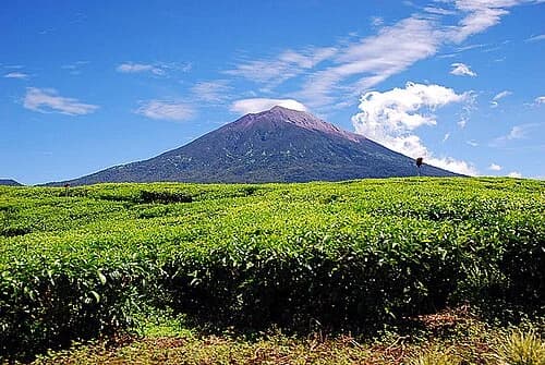 Jambi