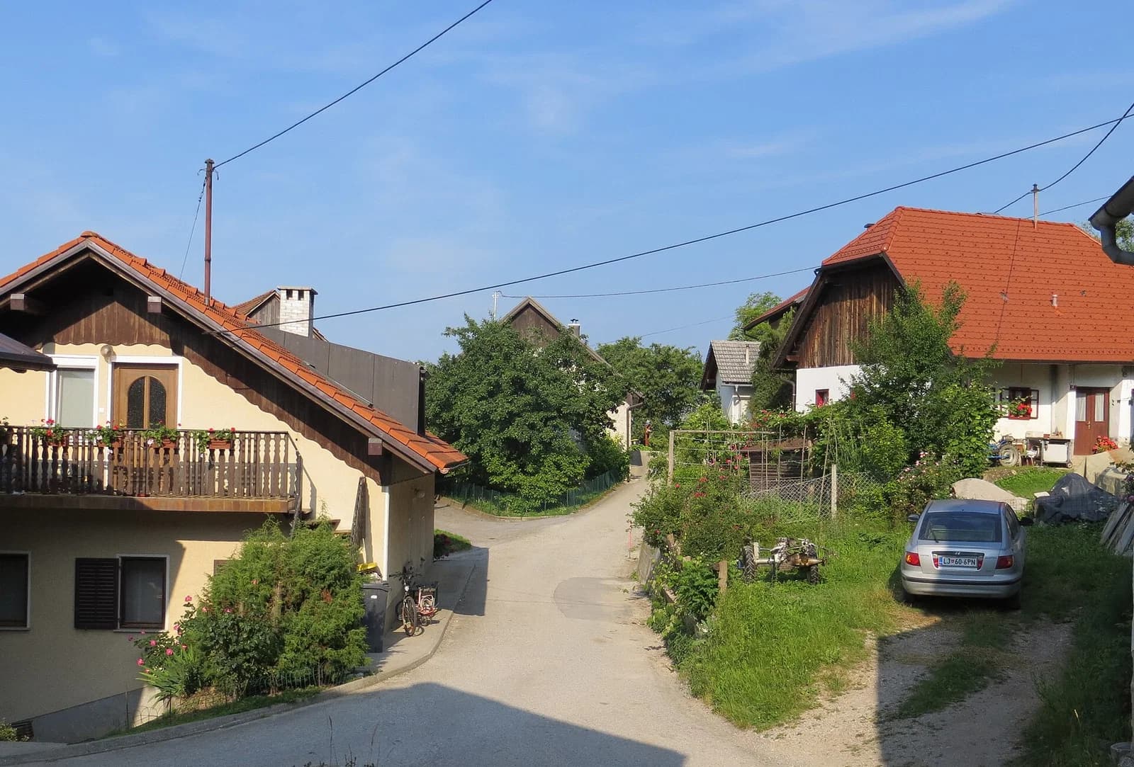 Velika vas