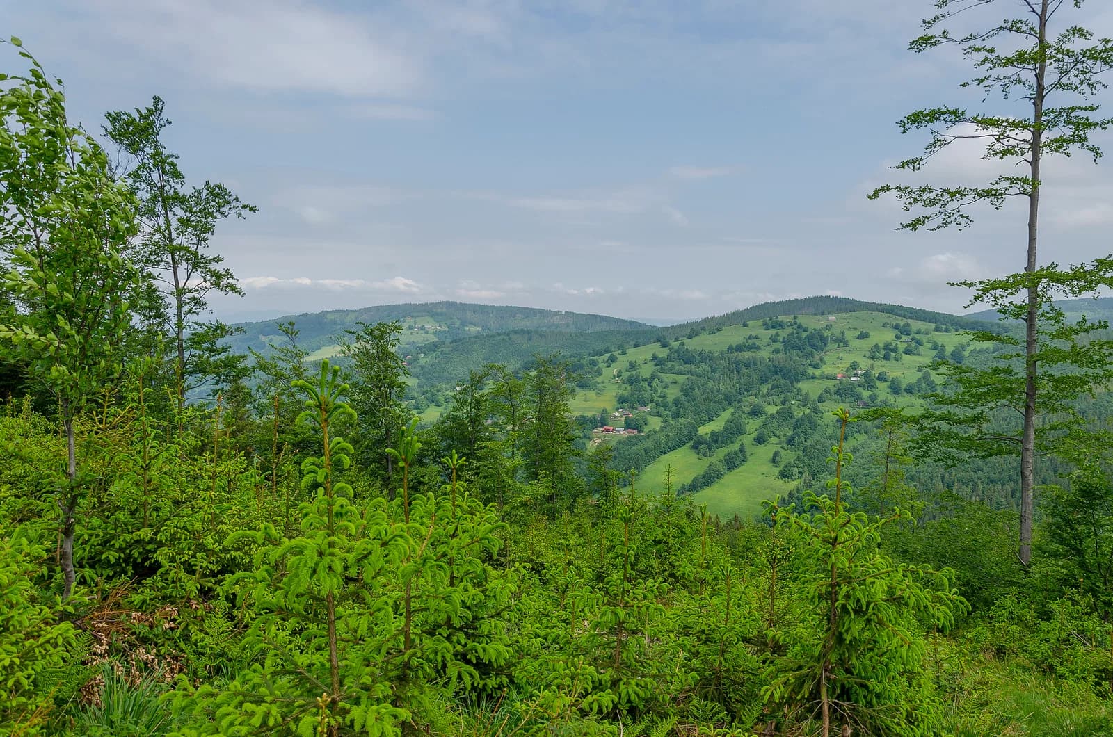 Koszarawa