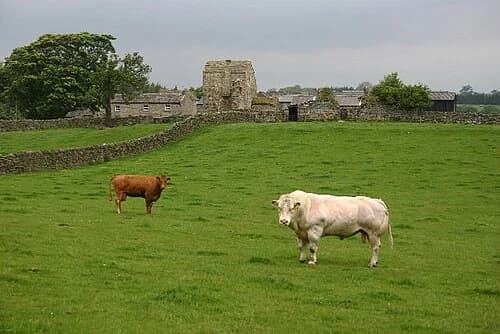 Scargill