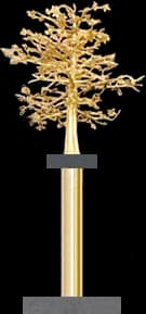 “Gizil Chinar” International Award