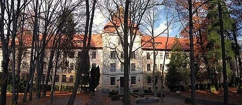 National Forestry University