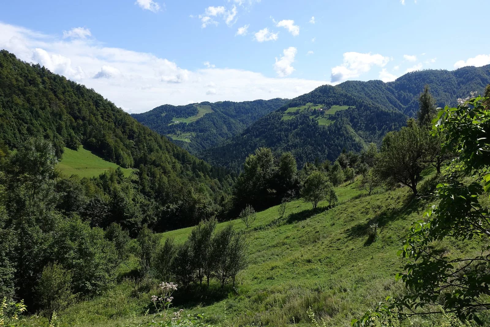 Srednja Kanomlja