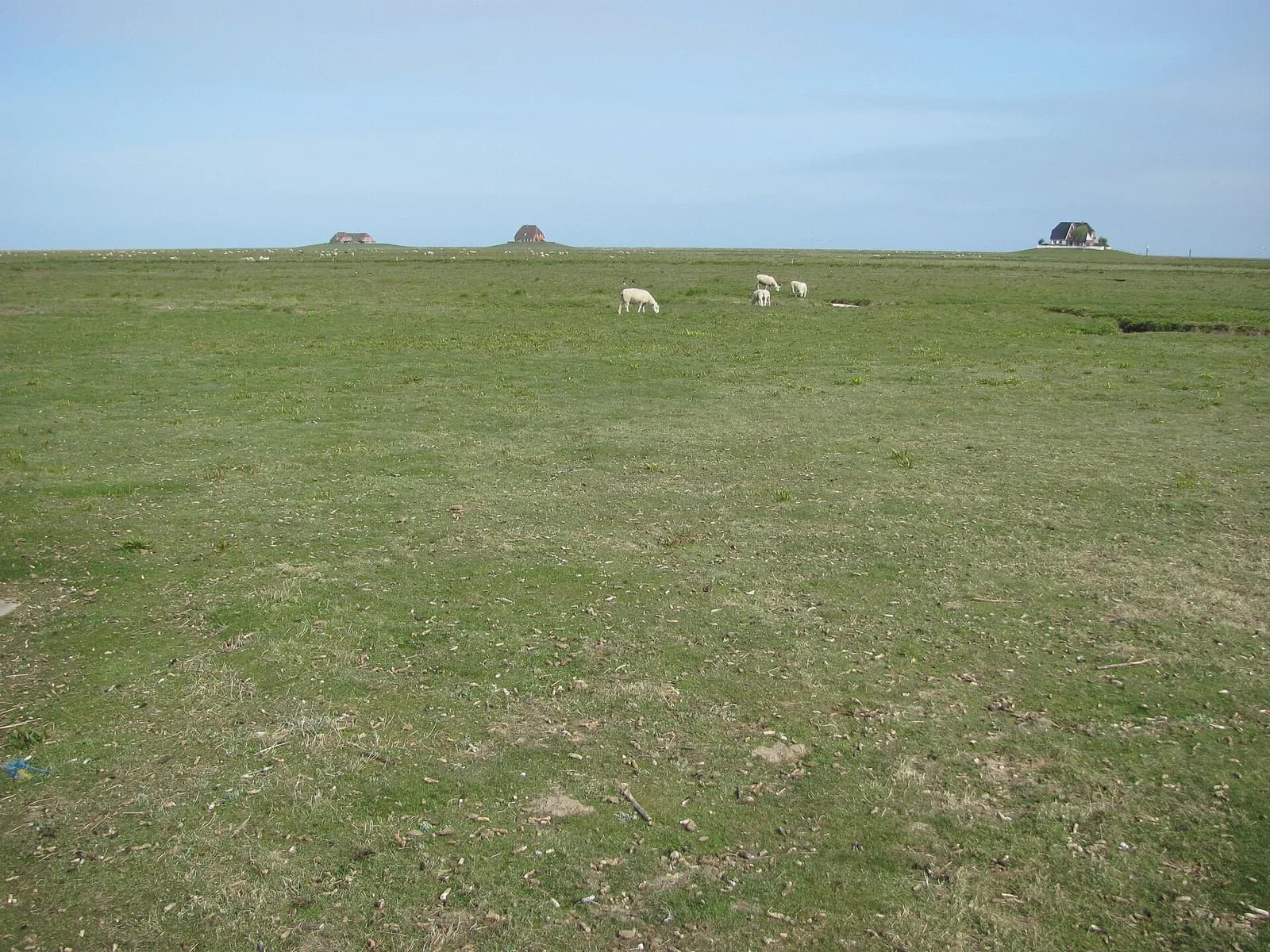 Nordstrandischmoor
