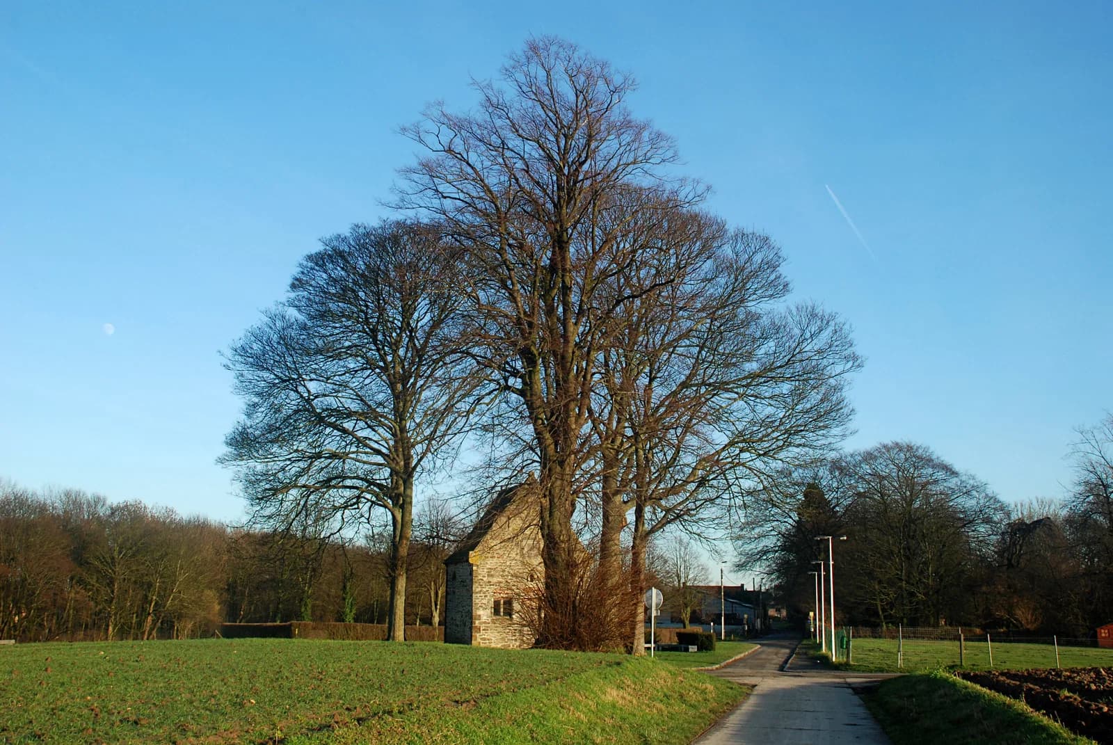 Longueville