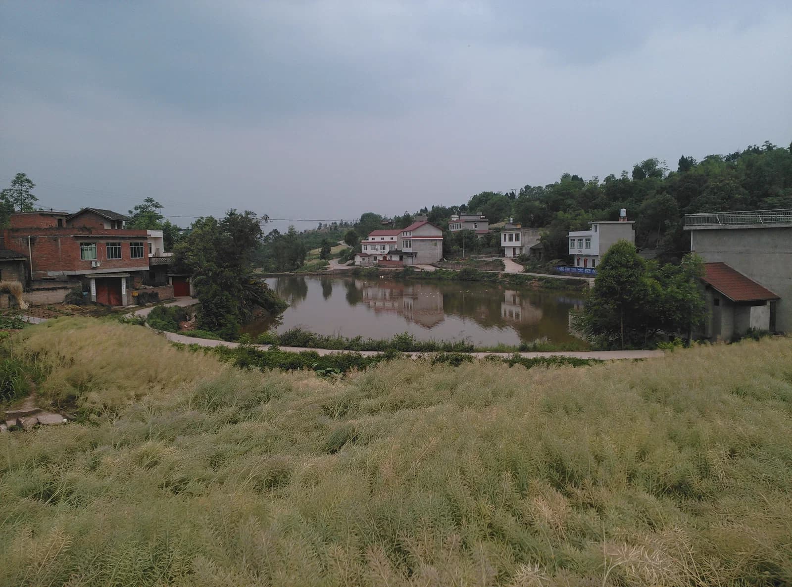 Zizhong