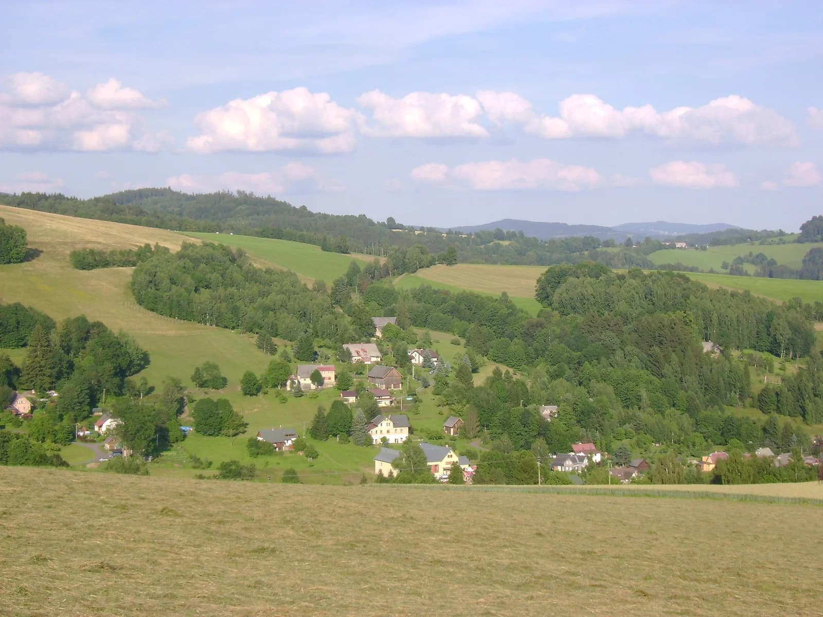 Zlatá Olešnice