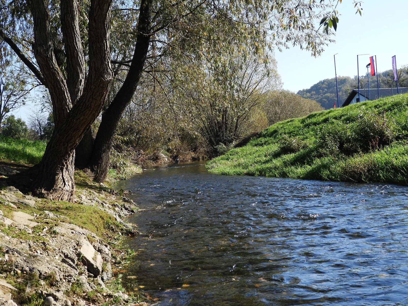 Tržec