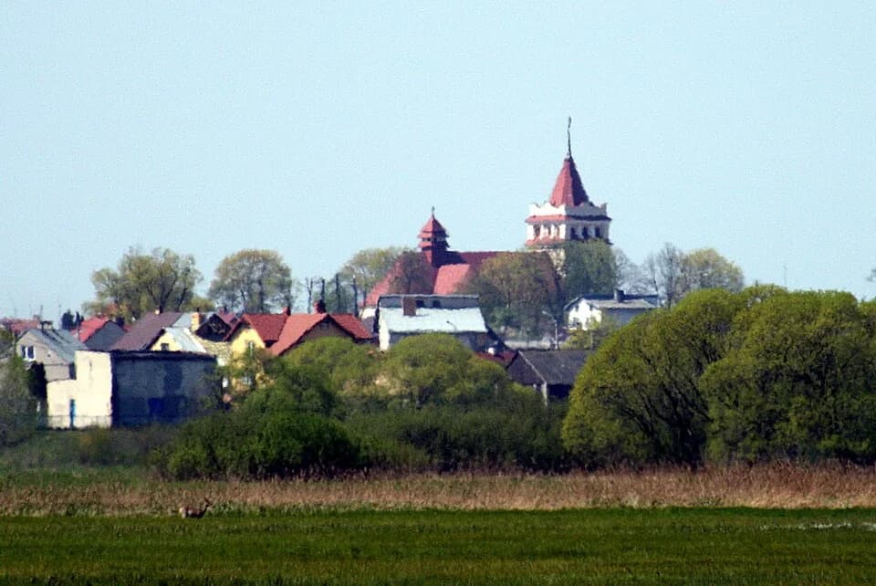Gmina Łapy