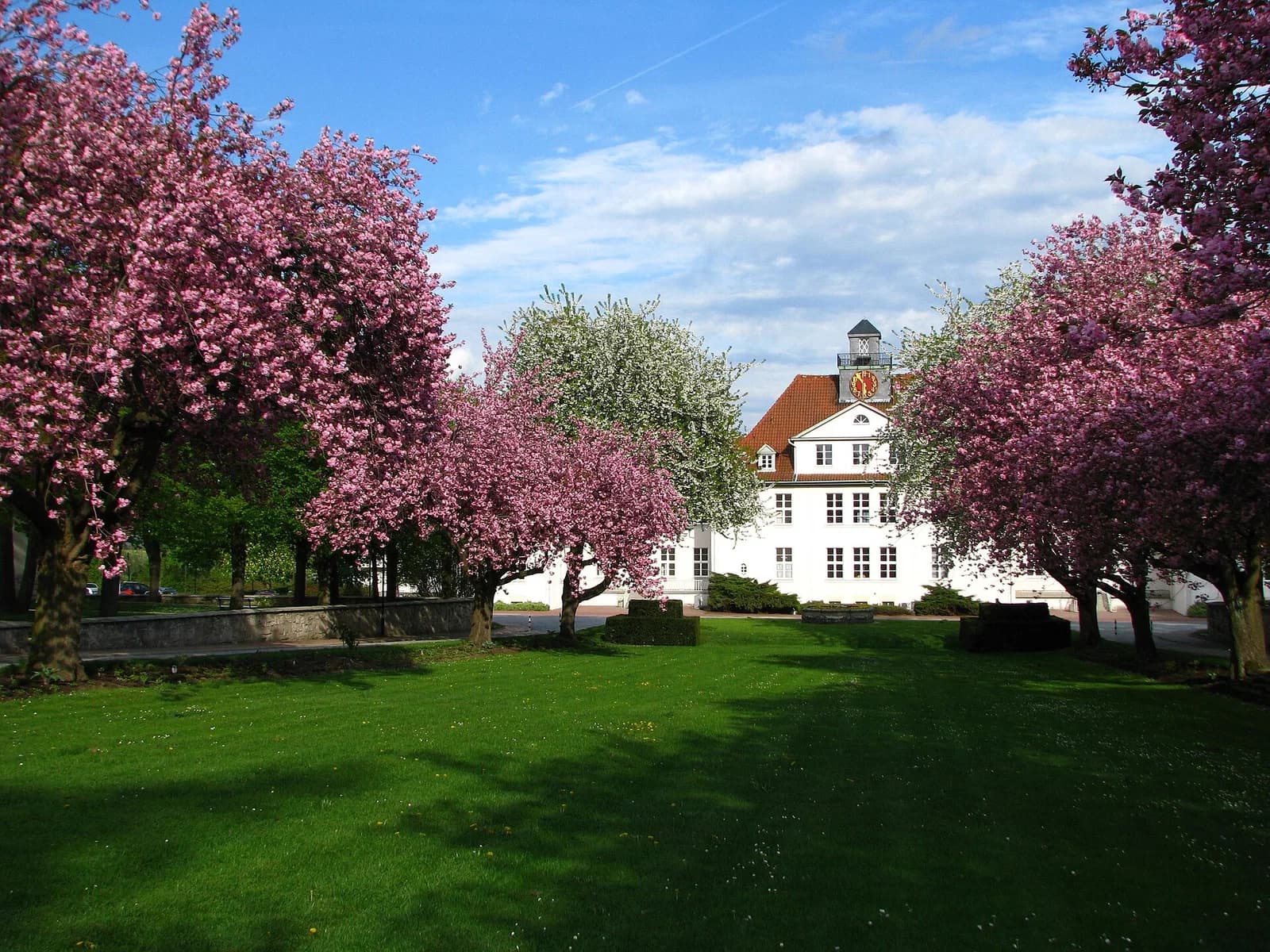 Pfafferode