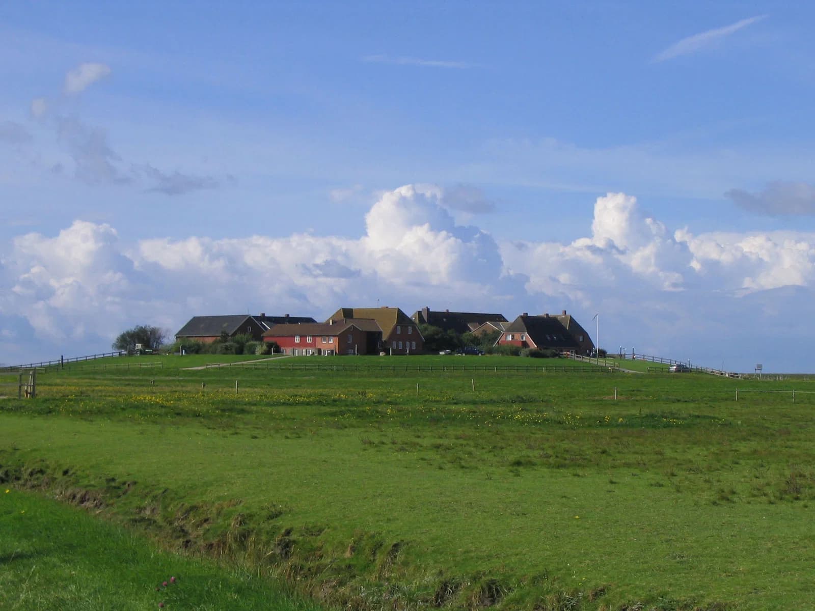 Hooge